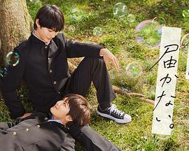 版苹果在线海报剧照